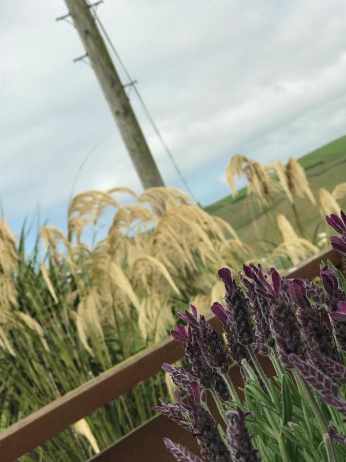 Lodge Cabin With Fabulous Views - Farm Holiday Stranraer Exteriér fotografie